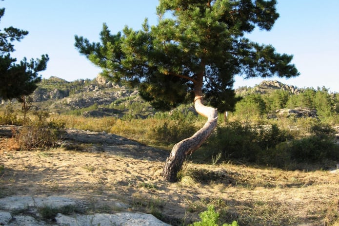 Отдыхай в Аюде за полцены! - PR